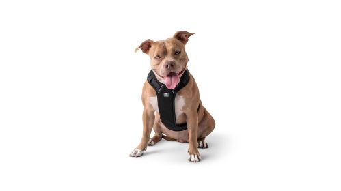 GF PET Travel Harness -Black (size: L)